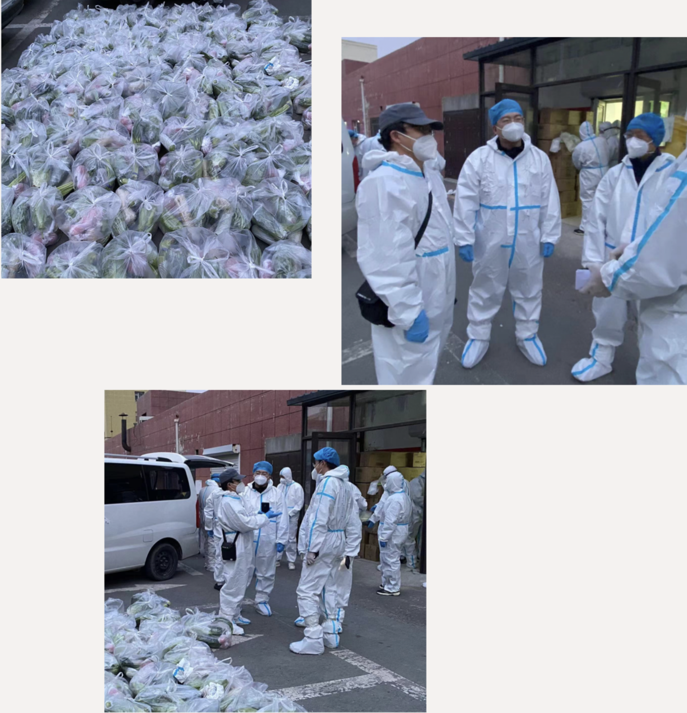 OG���ˡ�(�й���)�ٷ���վ